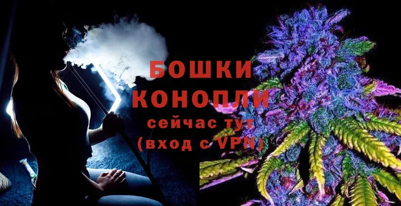 продажа наркотиков  Красноармейск  Каннабис OG Kush 